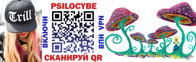 сколько стоит  Ревда  Псилоцибиновые грибы Cubensis 
